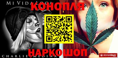СК Волгодонск