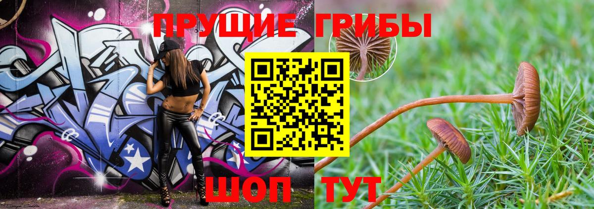 Псилоцибиновые грибы MAGIC MUSHROOMS Лиски